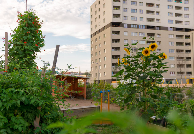 copyright www.sonnwendgarten.at