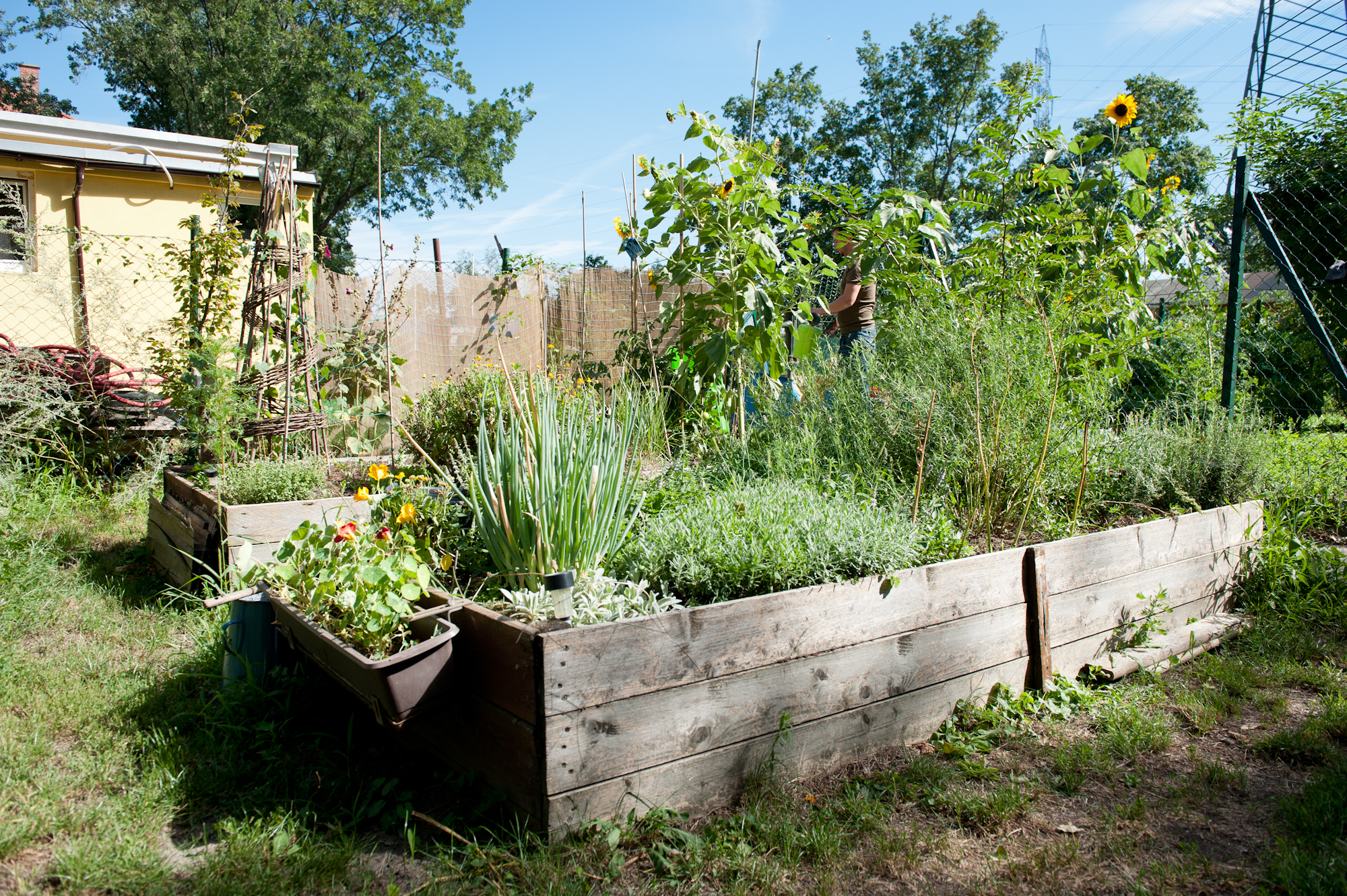 Macondo Bilder von Christoph Liebentritt