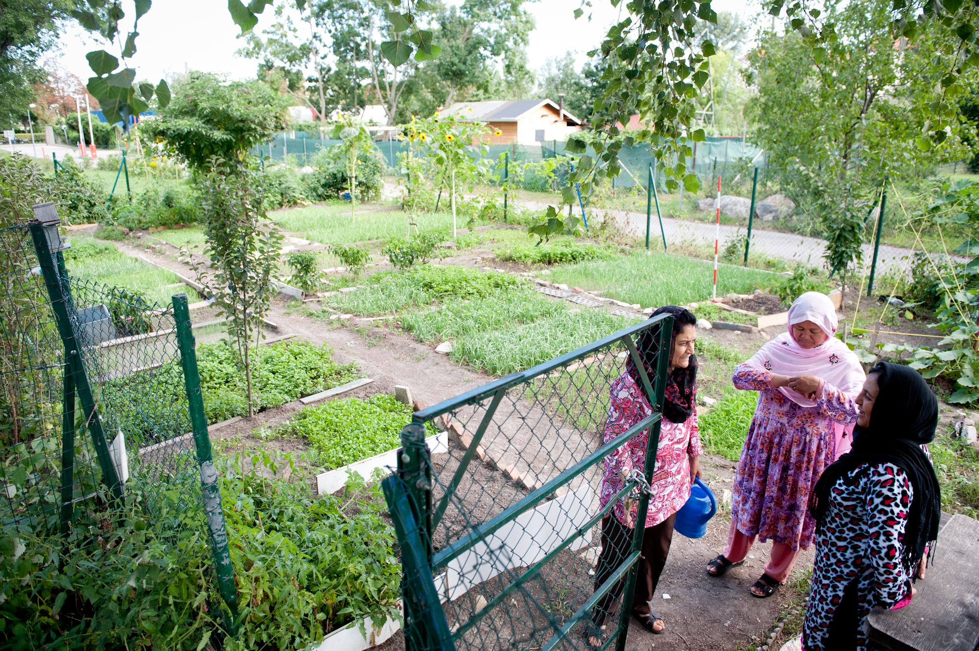 Macondo Bilder von Christoph Liebentritt