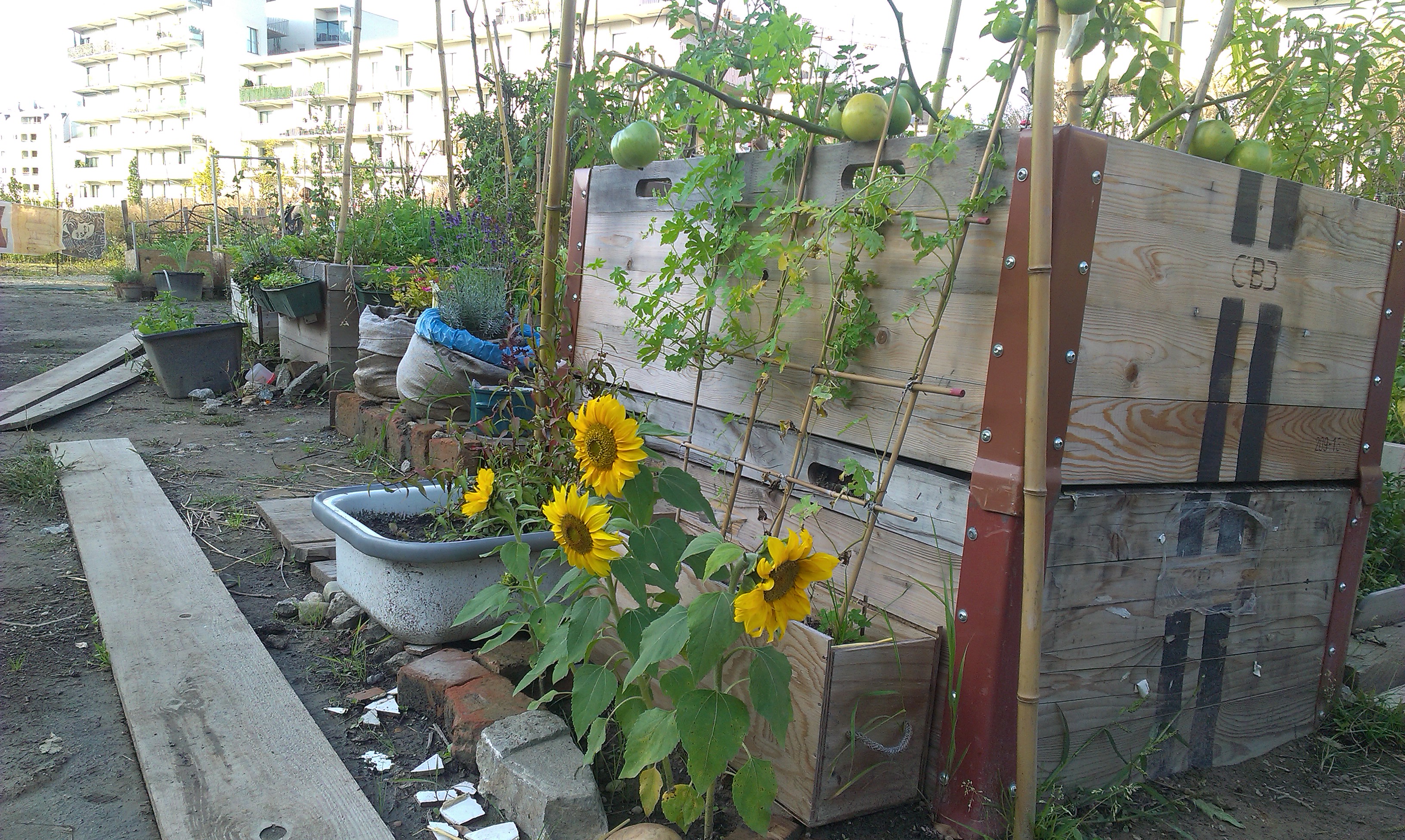 Hochbeete aus Kisten