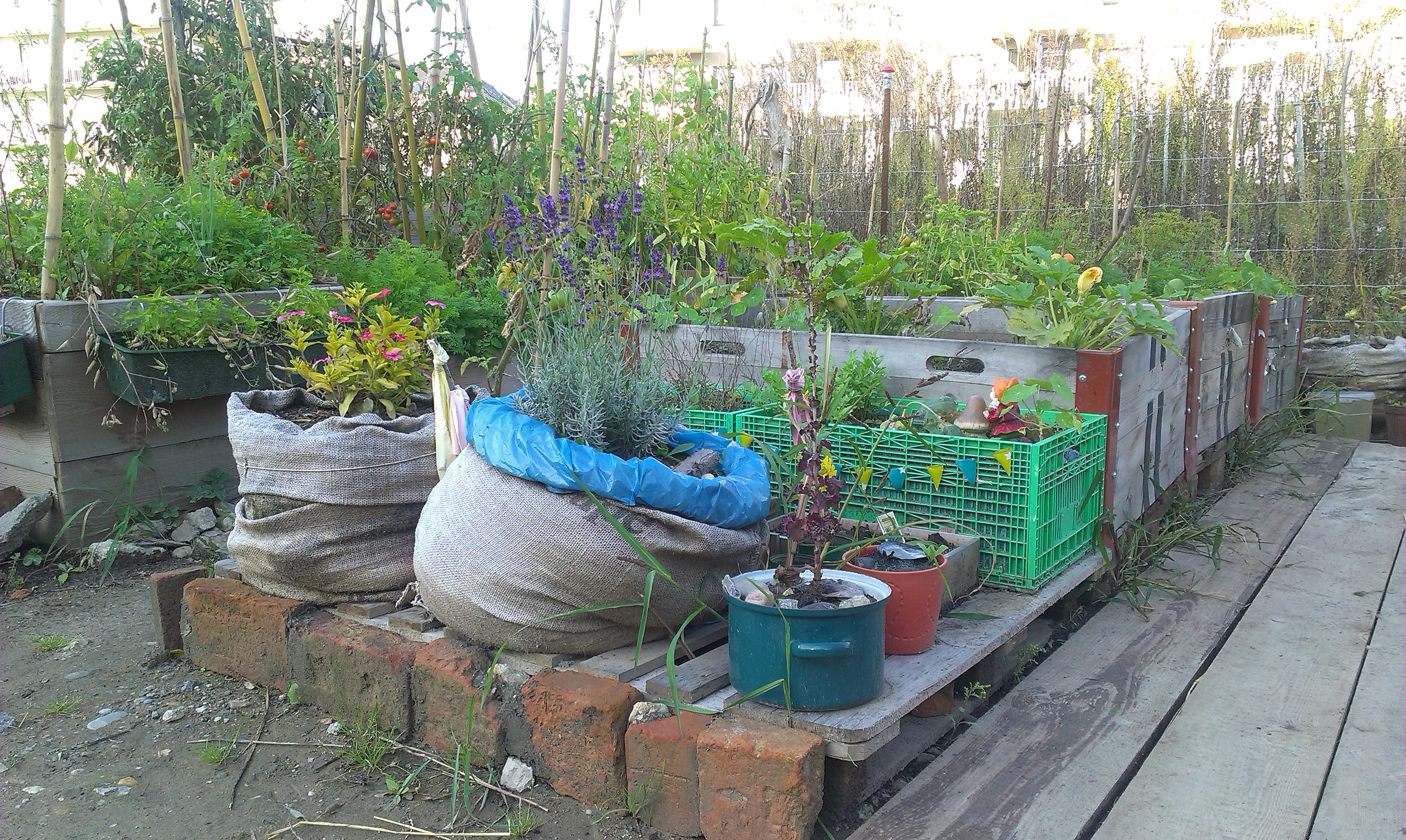 mobile Pflanzgefäße