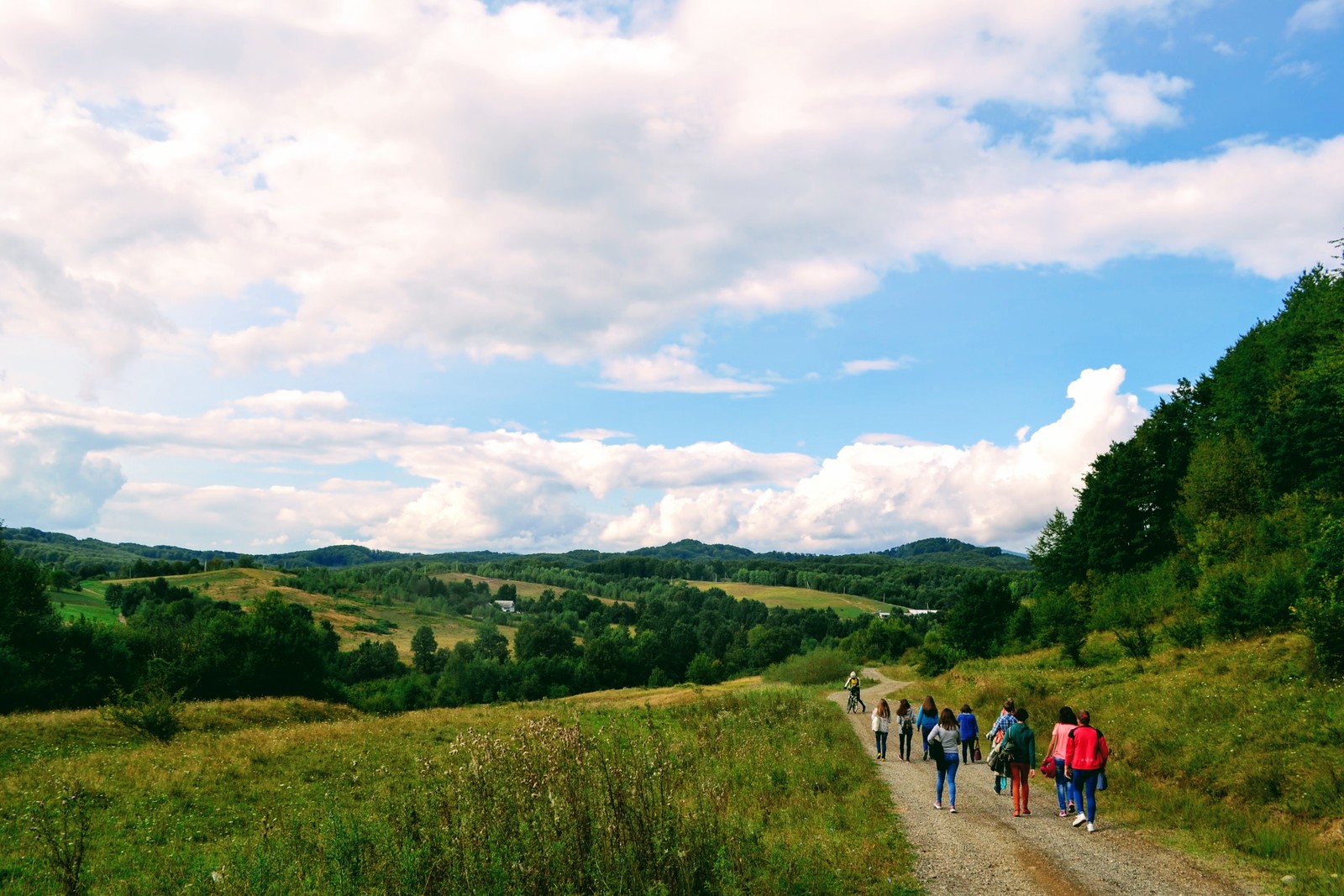 Exkursion zu Hofkäserei