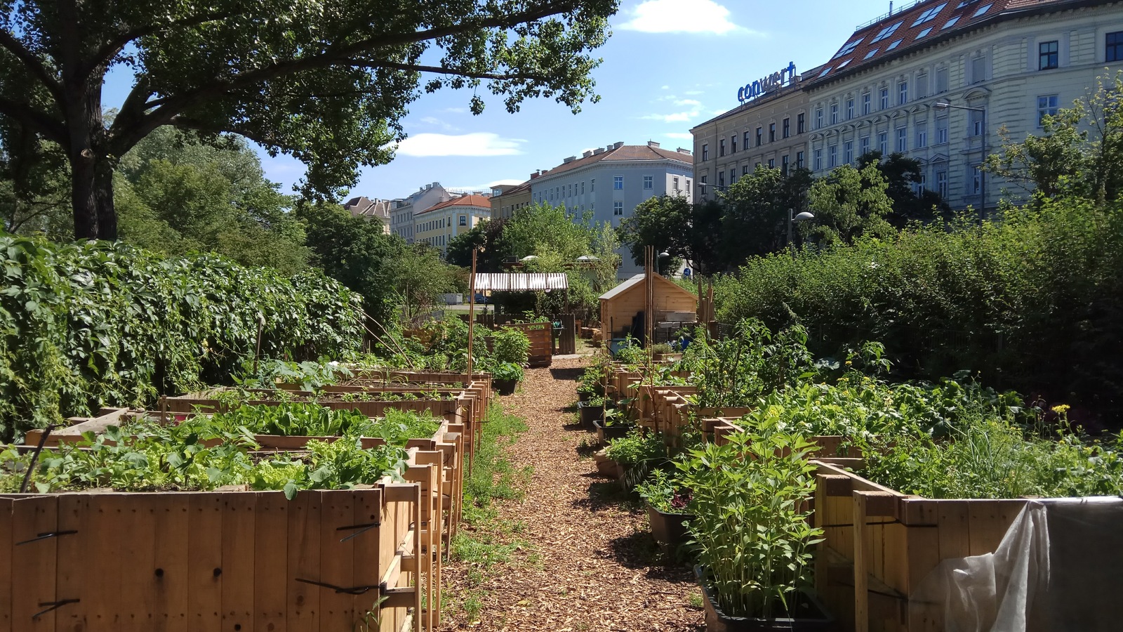 Sophiengarten geschlossener Teil