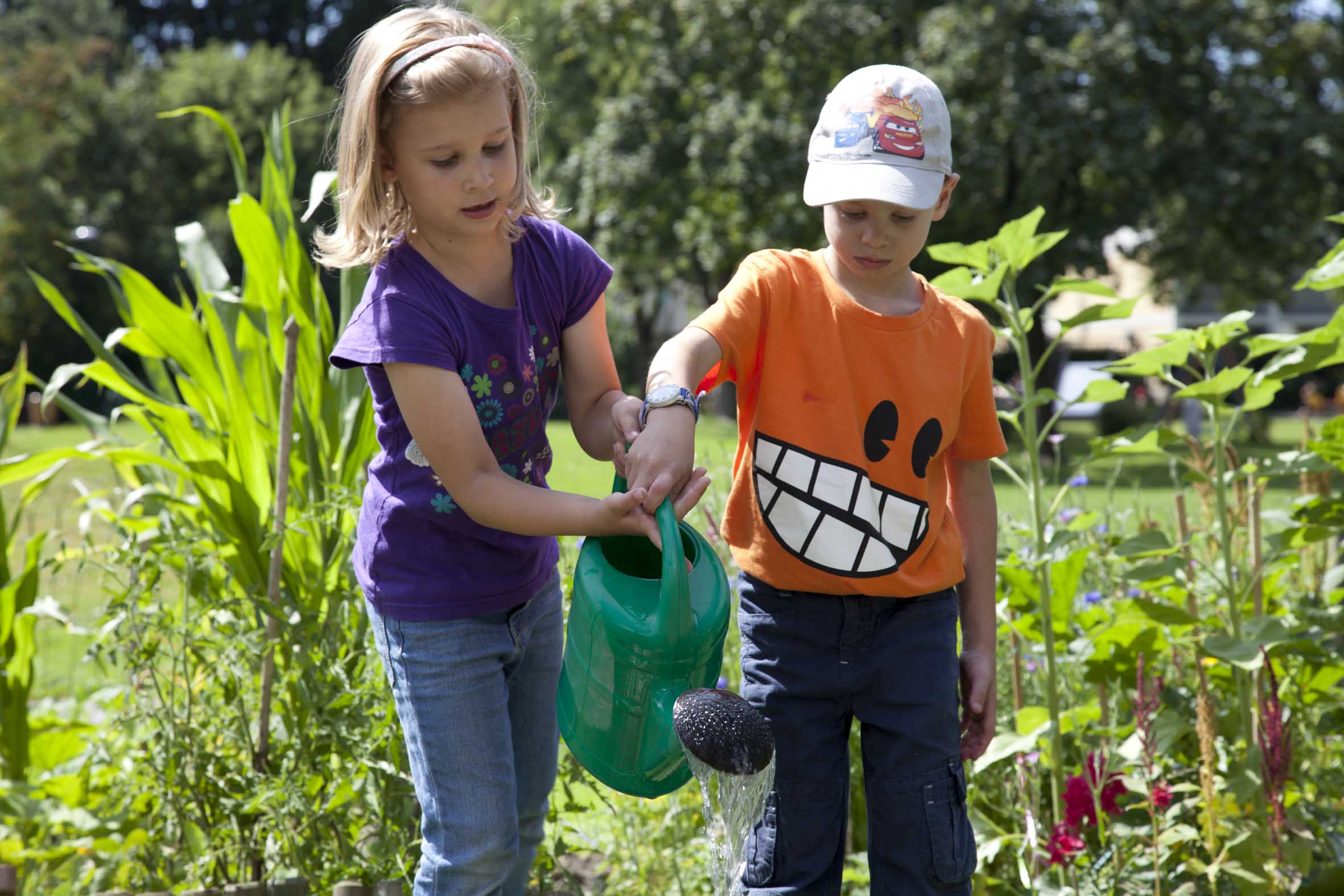 Kinder gießen copyrigth Zintel