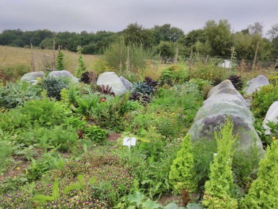Gemüsegarten, Vejle