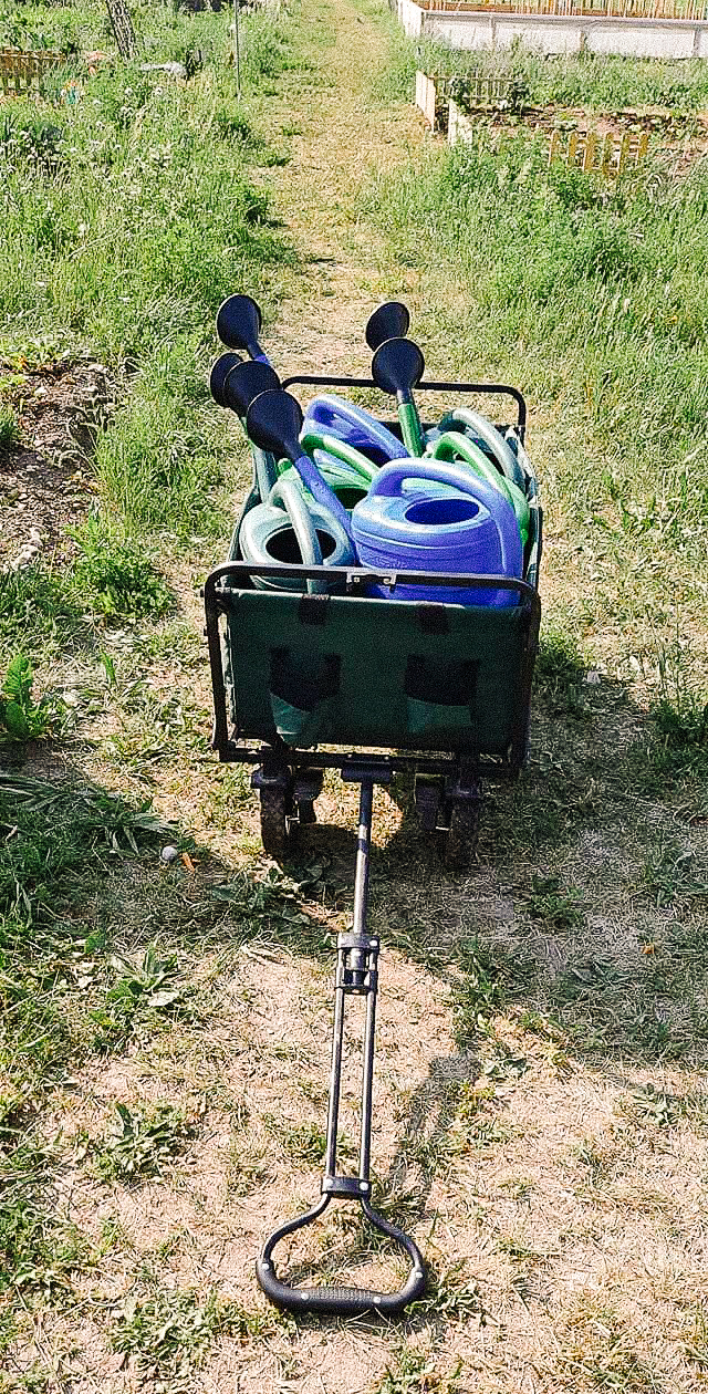 Nachhaltige Bewässerung