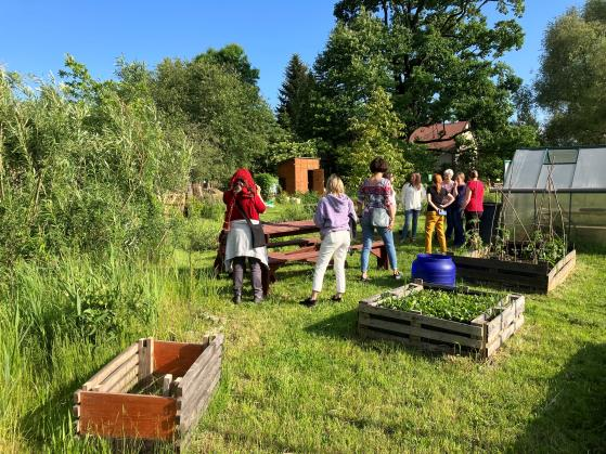 In einem Gemeinschaftsgarten in Krakow