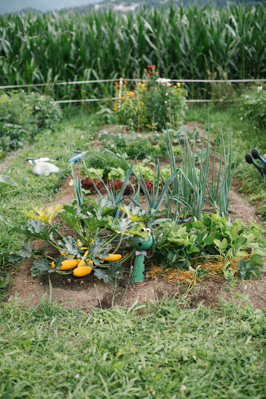 Jede:r wie es ihr/ihm gefällt!