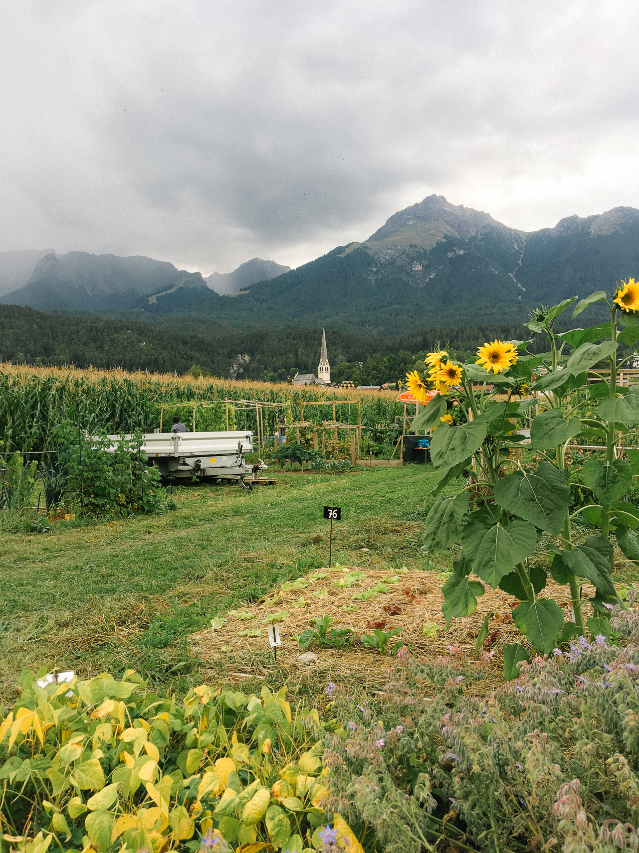 Garteln mit Blick auf die Pfarrkirche