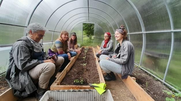 Gardenisergruppe im Folientunnel