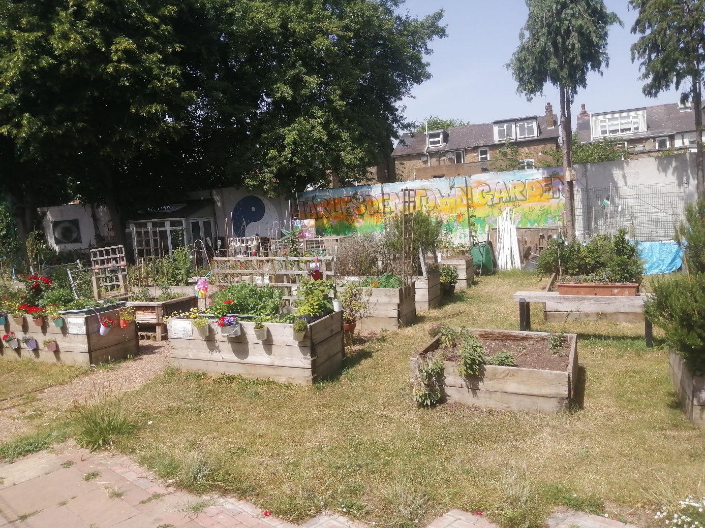 Gemeinschaftsgarten in London