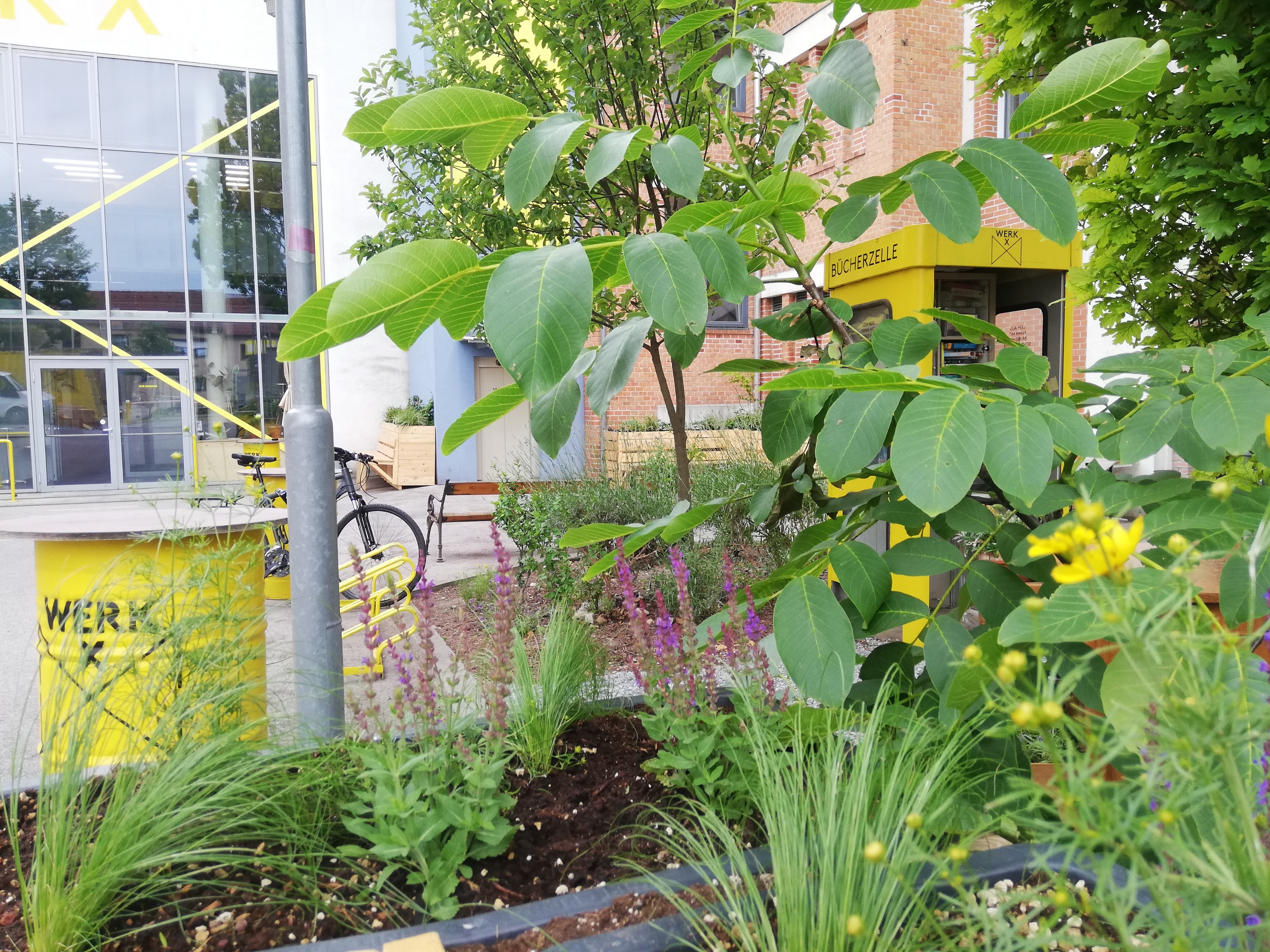 Bücherzelle, Beet in Nahaufnahme, Gräser und Blätter
