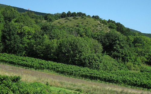 Freiluftmuseum Pfaffstätten