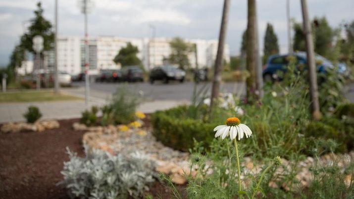 © Sebastian Philipp