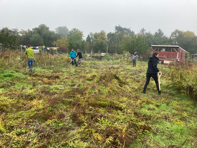 Sensen-Workshop mit Container und Pumpenhütte im Hintergrund