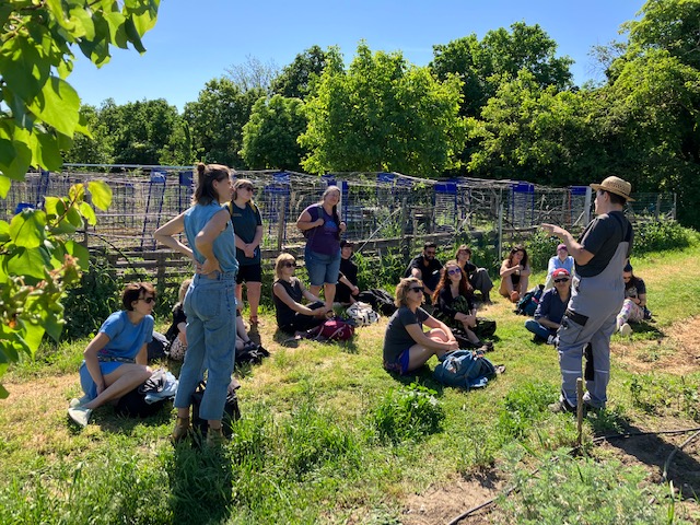 Gärtner*innen tauschen sich aus im Garten