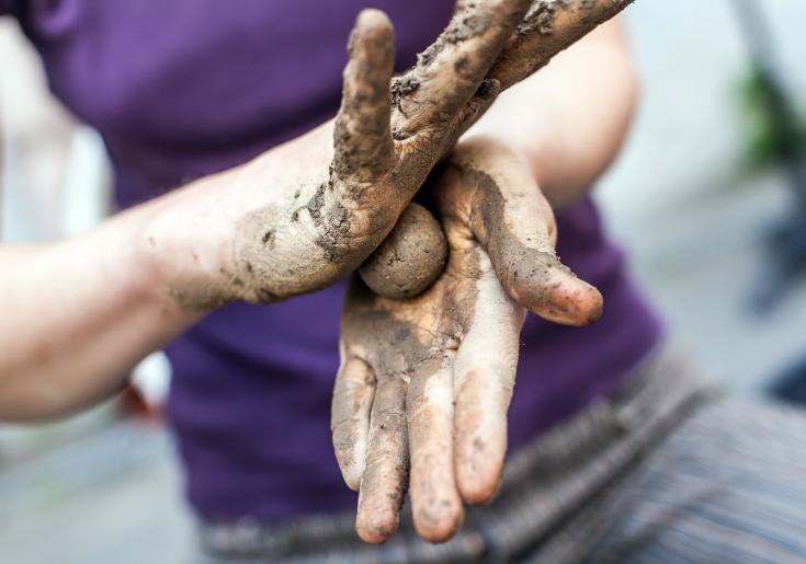 seedball wird gerollt