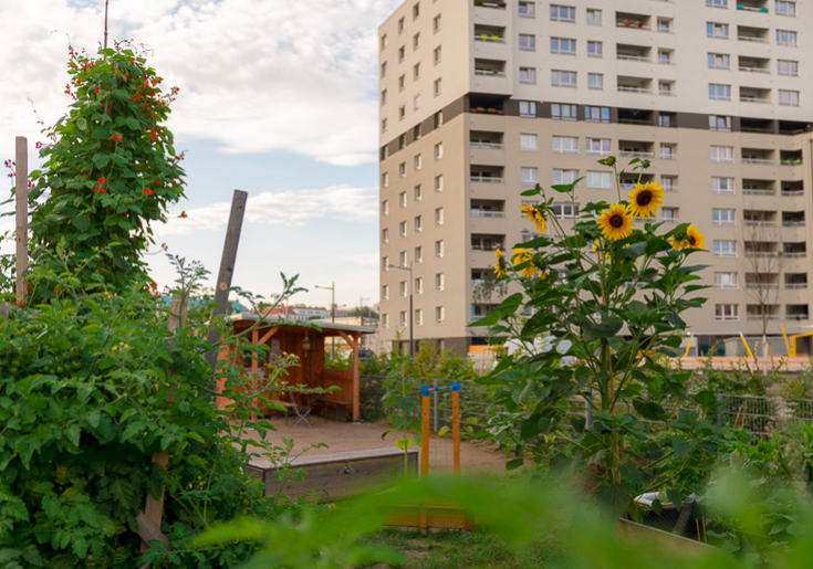 copyright www.sonnwendgarten.at