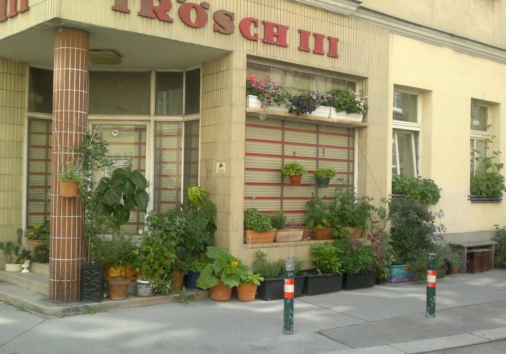 Pflanztröge an Hauswand entlang