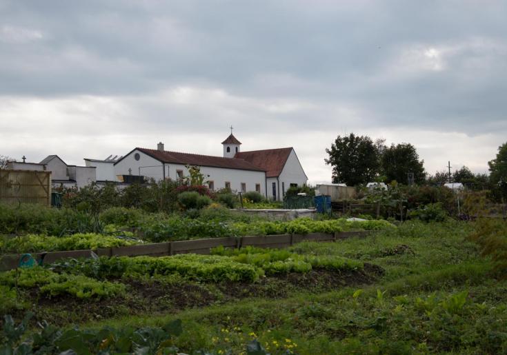 Feld ©Klaus Fresser