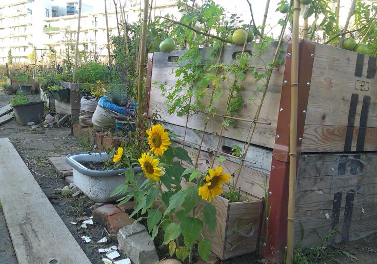 Hochbeete aus Kisten