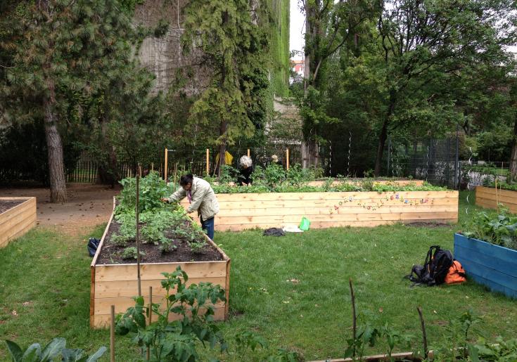 Nachbarschaftsgarten Arenbergpark