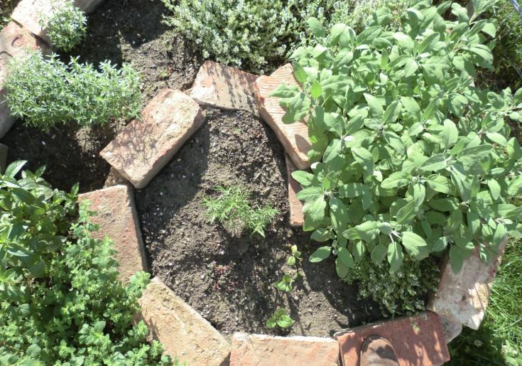 Kräuterschnecke ©Gartenpolylog