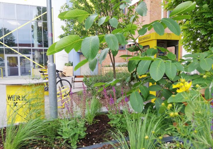 Bücherzelle, Beet in Nahaufnahme, Gräser und Blätter