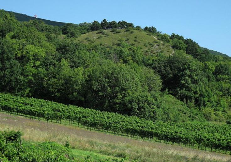 Freiluftmuseum Pfaffstätten