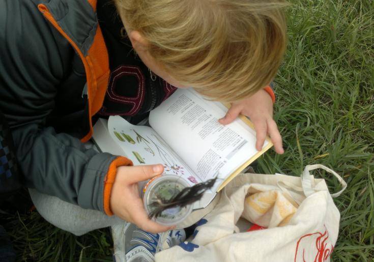 Kind sitzt auf der Wiese und liest Pflanzenbuch
