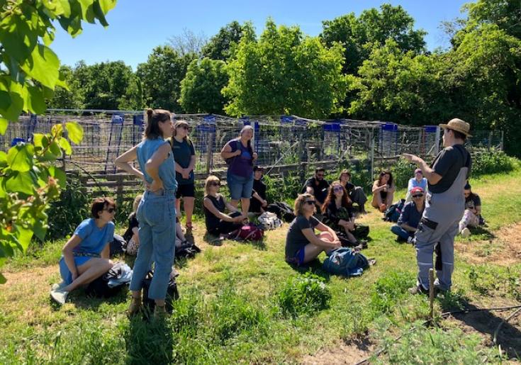 Gärtner*innen tauschen sich aus im Garten